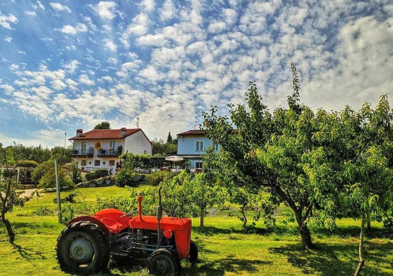 Agriturismo 30 Moniga del Garda Екстер'єр фото