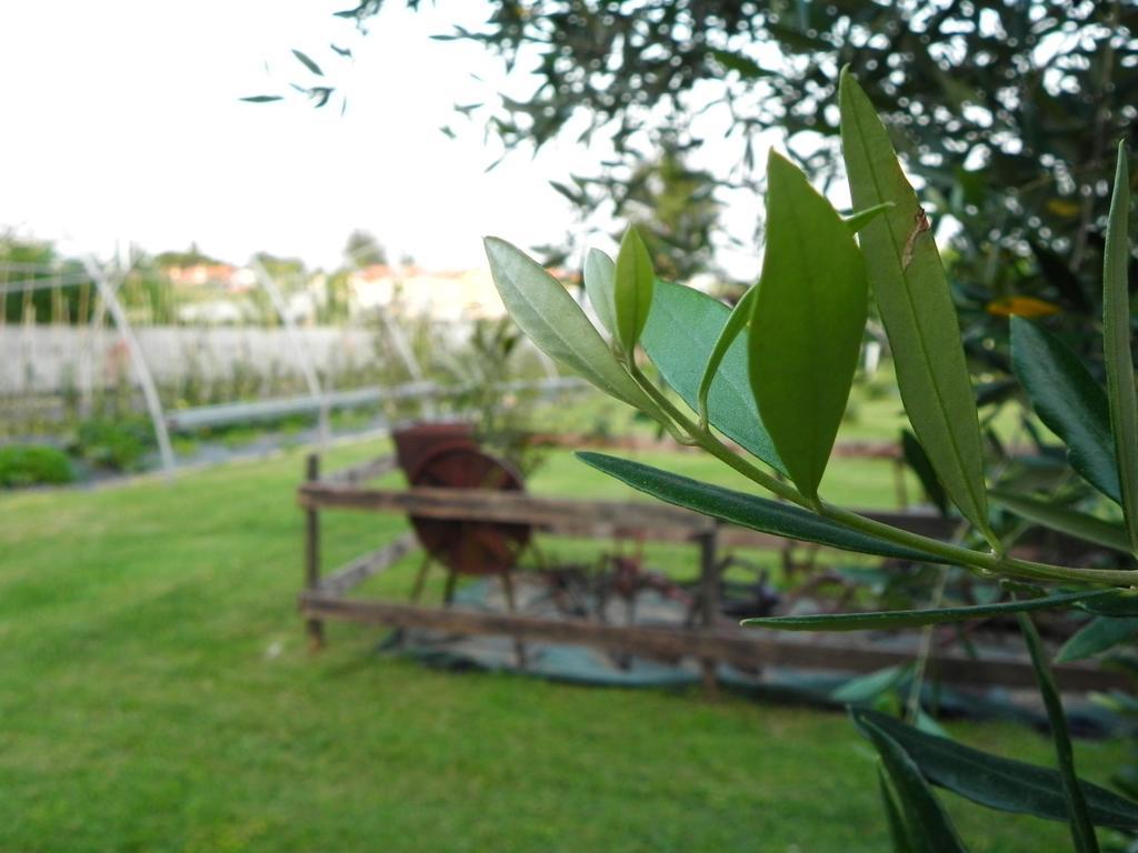 Agriturismo 30 Moniga del Garda Екстер'єр фото