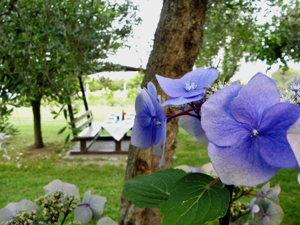 Agriturismo 30 Moniga del Garda Екстер'єр фото